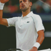 The Tennis Player Novak Djokovic Diamond Painting