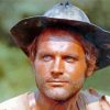 Young Terence Hill Diamond Painting
