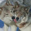 Aesthetic Wolf Couple Diamond Painting