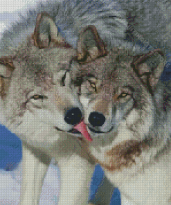 Aesthetic Wolf Couple Diamond Painting