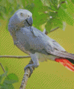 African Gray Parrot Diamond Painting