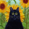 Black Cat In Sunflowers Field Diamond Painting