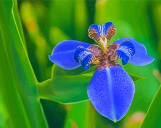 Bloom Blue Irises Diamond Painting