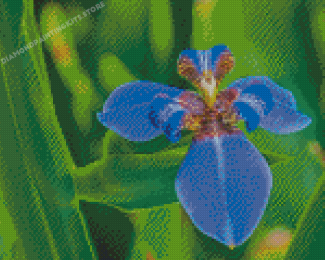 Bloom Blue Irises Diamond Painting