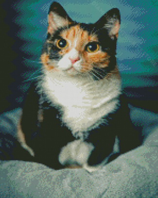 Calico Cat Animal Diamond Painting