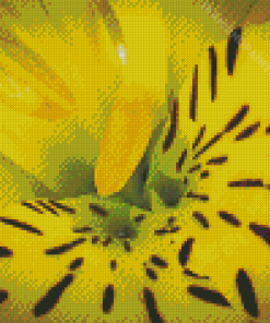 Close Up Yellow Alstroemeria With Rain Drops Diamond Painting