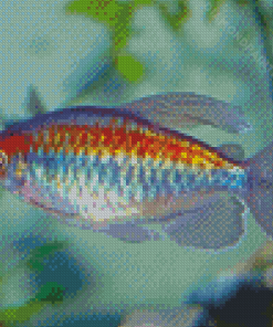 Congo Tetra Fish Diamond Painting