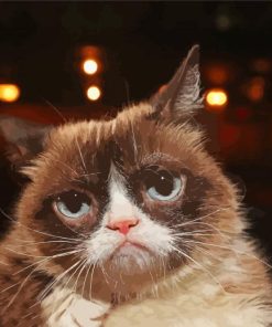 Cute Grumpy Cat Diamond Painting