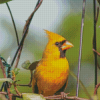 The Yellow Cardinal Diamond Painting