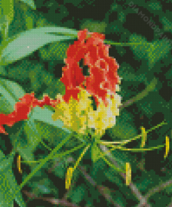 Gloriosa Lily Plant Diamond Painting