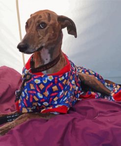 Greyhound Dog In Uniform Diamond Painting
