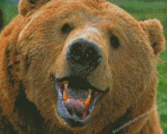 Happy Bears Diamond Painting