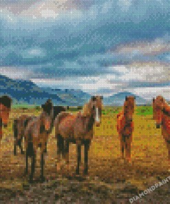 Icelandic Horses Animals Diamond Painting