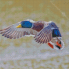 Mallard Ducks Bird Diamond Painting