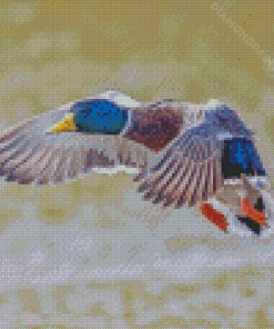 Mallard Ducks Bird Diamond Painting