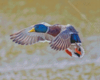 Mallard Ducks Bird Diamond Painting