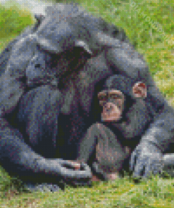 Mom Chimpanzee With Her Baby Diamond Painting