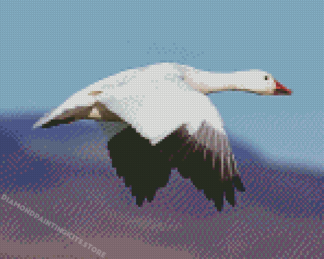 Snow Goose Diamond Painting