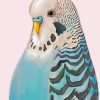 The Blue Parakeet Bird Diamond Painting