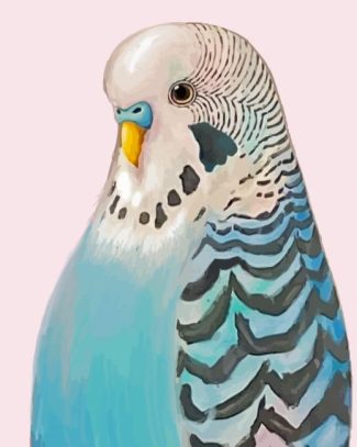 The Blue Parakeet Bird Diamond Painting