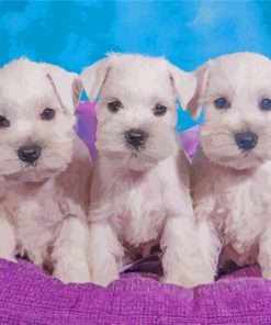 White Miniature Schnauzer Dogs Diamond Painting