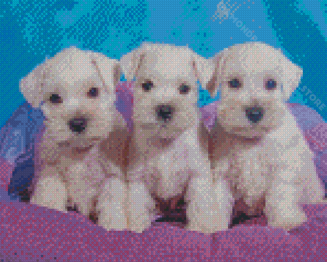 White Miniature Schnauzer Dogs Diamond Painting