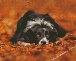 Adorable Border Collie In Leaves Diamond Painting