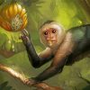 Capuchin Monkey On Banana Tree Diamond Painting