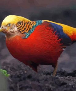 Cool Red Golden Pheasant Diamond Painting