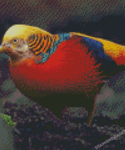 Cool Red Golden Pheasant Diamond Painting