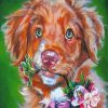 Duck Toller And Flowers Diamond Painting