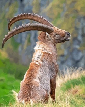 Ibex Animal Diamond Painting