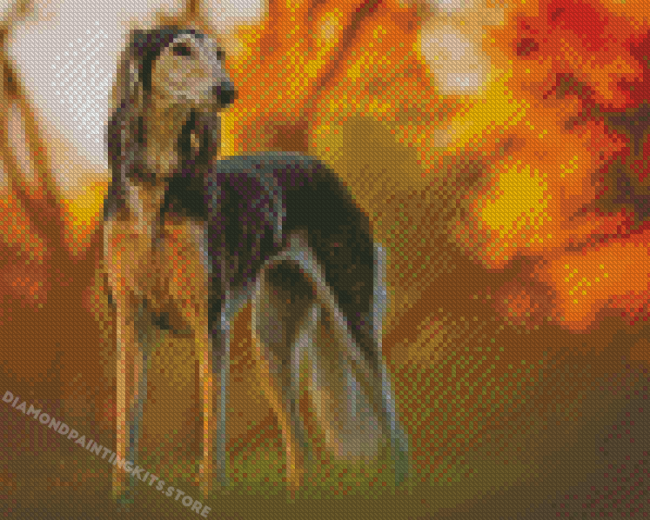 Saluki Dog Animal Diamond Painting