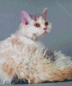 White Selkirk Rex Cat Diamond Painting
