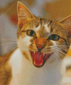 Aesthetic Angry Cat Diamond Painting