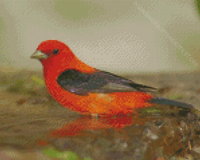 Aesthetic Orange Bird Diamond Painting