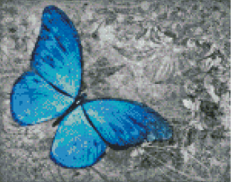 Blue Buttefly Art Diamond Painting