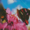 Butterfly With Bee Diamond Painting