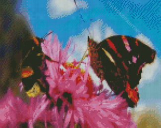 Butterfly With Bee Diamond Painting