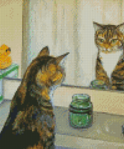Cat In The Mirror Diamond Painting
