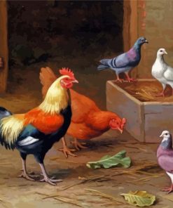 Chickens And Pigeons In Farm Diamond Painting