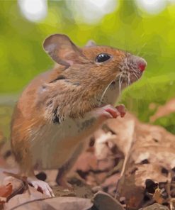 Cute Field Mouse Diamond Painting