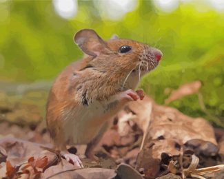 Cute Field Mouse Diamond Painting