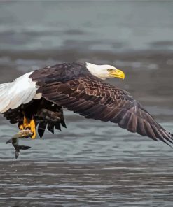 Eagle On The River Holding Fish Diamond Painting