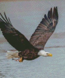 Eagle With Fish On The River Diamond Painting