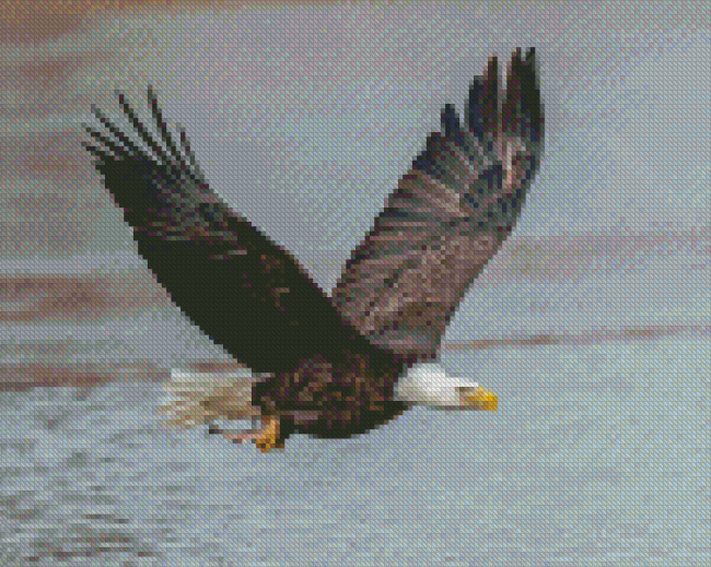 Eagle With Fish On The River Diamond Painting