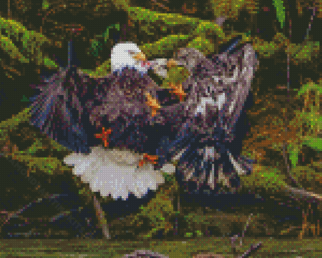 Eagles Fighting On The River Diamond Painting