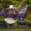 Eagles Fighting On The River Diamond Painting
