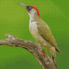 European Woodpecker On Tree Diamond Painting