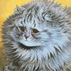 Fat Long Hair Grey Cat Diamond Painting